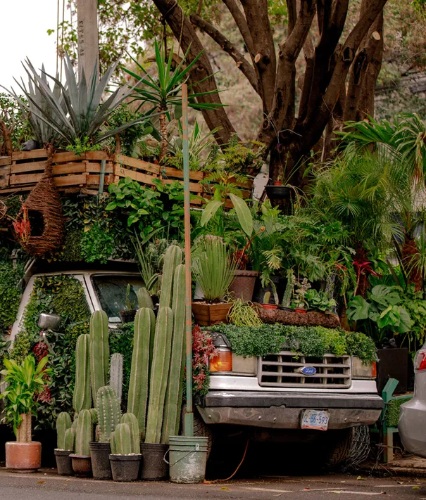 If there is one destination that can speak in colors, it is Mexico. Distinct hues such as Maya blue, Aztec red, and Quetzal green provide a glimpse into the history and culture of this fascinating land.